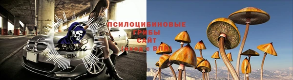 дурь Алексеевка