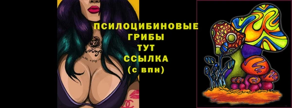 бошки Алексин