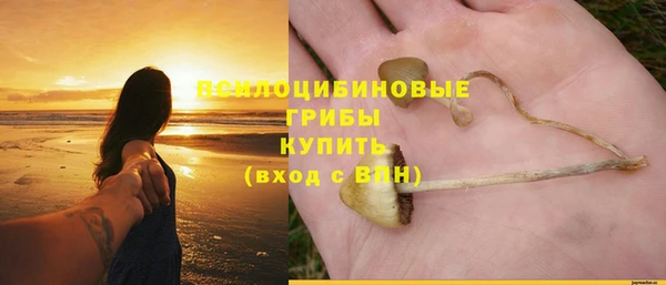 Альфа ПВП Пестово