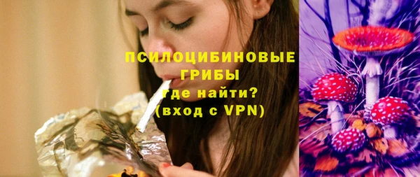 соль ск Алзамай