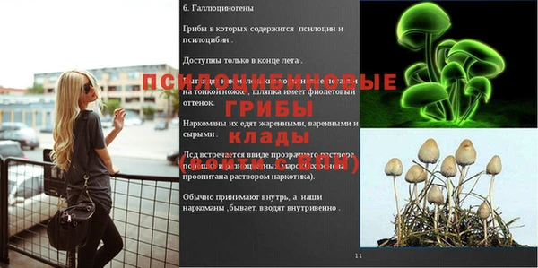 дурь Алексеевка