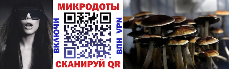 Псилоцибиновые грибы GOLDEN TEACHER  shop наркотические препараты  Новая Ладога  МЕГА tor 