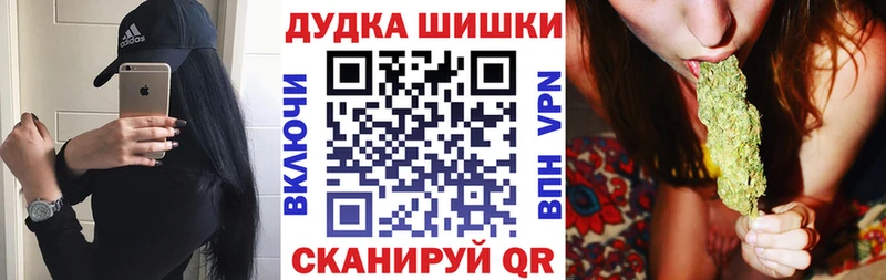 закладки МЕГА как войти Бошки Шишки VHQ Новая Ладога